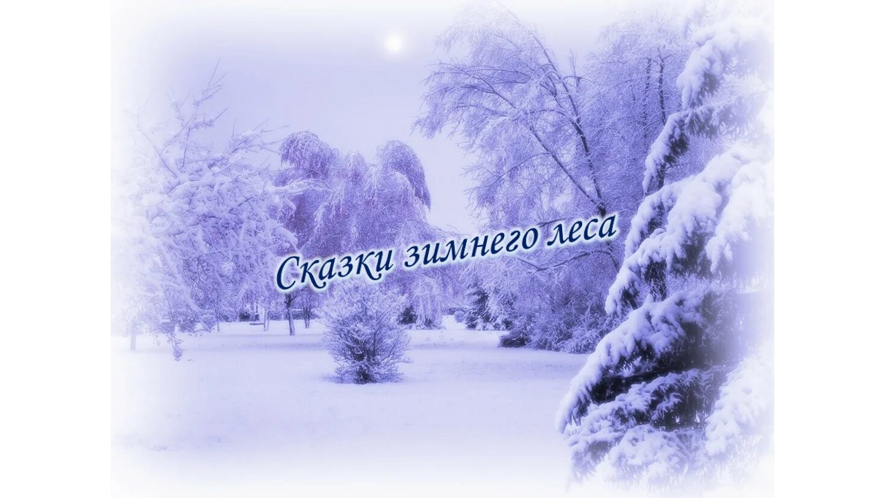 Конкурс "Сказки зимнего леса" Конкурс "Сказки зимнего леса".
