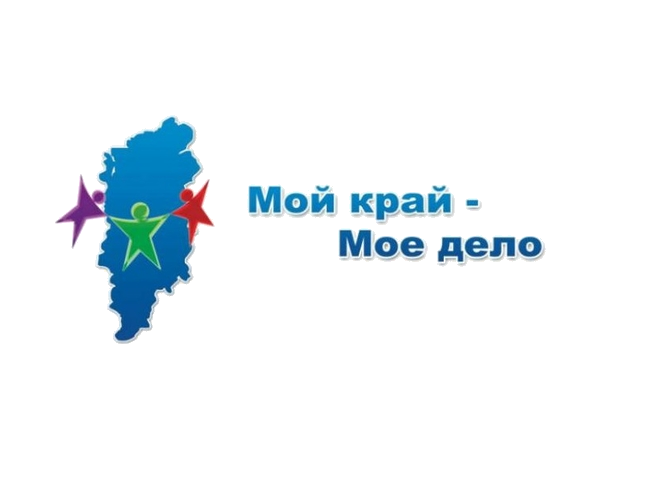 Финал краевого конкурса «Мой край - мое дело».